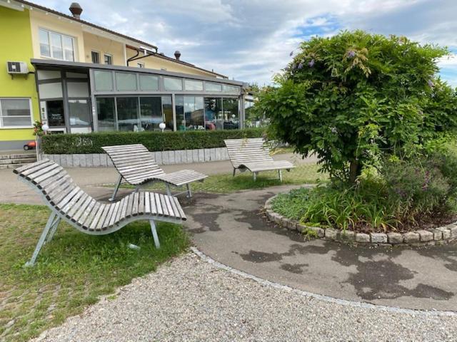 Rhein-camping